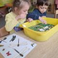 resized_IMG_20250515_054456