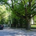 NB-parking_WAW_7875