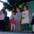 DSCF6627 (Small)