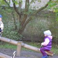 DSC_0436 (Small)