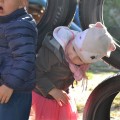 DSC_0442 (Small)