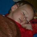 DSC_0582 (Small)