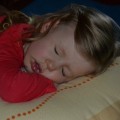 DSC_0583 (Small)