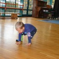 DSC_0087 (Small)