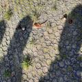 resized_20211013_120742