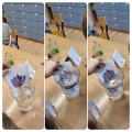 resized_InShot_20240312_164819304