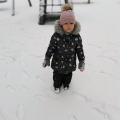 IMG_20210115_101144