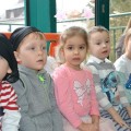 DSC_0017 (Small)