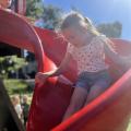 resized_IMG_5517