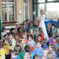 poszukiwanie wiosny