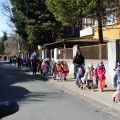 poszukiwanie wiosny