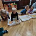 IMG_20210209_104459