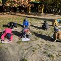 resized_IMG_0031