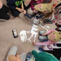 IMG_20210226_133924