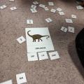 IMG_20210226_140804