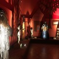 IMG_0904