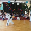 TAEKWONDO
