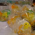 DSCF7422 (Small)
