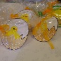 DSCF7439 (Small)