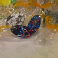 DSCF7442 (Small)