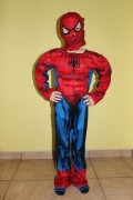 Spider - Man
