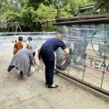 resized_IMG_0332