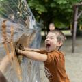 resized_IMG_0419